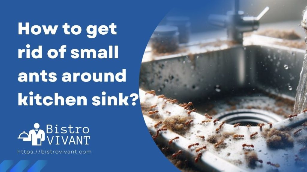 How to get rid of small ants around kitchen sink
